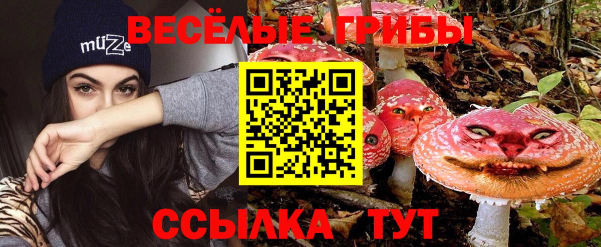 Галлюциногенные грибы GOLDEN TEACHER Бирск